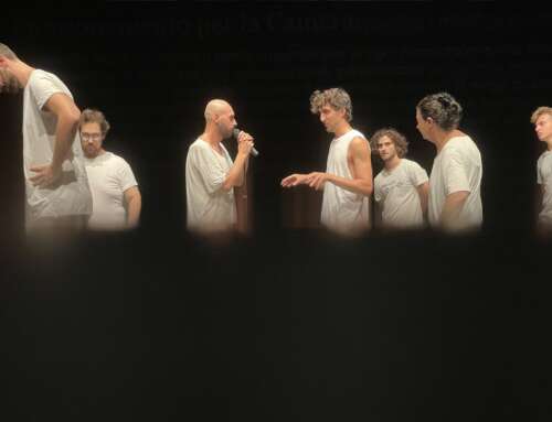 Teatri di Vita in tournée