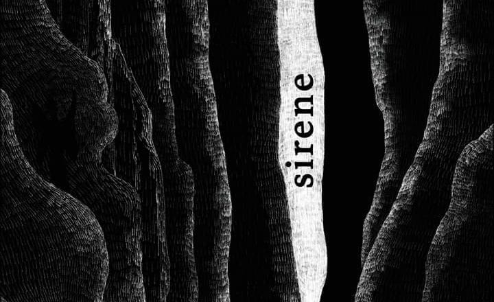 Spettacolo “Sirene” a Teatri di Vita a Bologna Grafica dello spettacolo "Sirene" di Sara Vilardo a Teatri di Vita a Bologna.